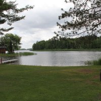 1tiger-musky-cabin-6