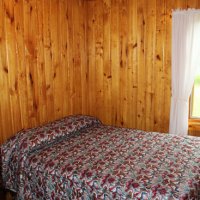 1tiger-musky-cabin-7