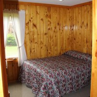 3tiger-musky-cabin-1