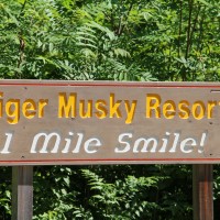 1 mile smile