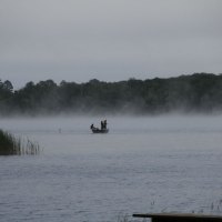 1tiger-musky-cabin