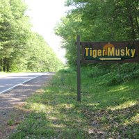 2tiger-musky-cabin