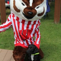 Bucky and Luna